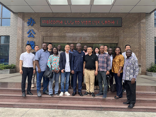 latest company news about The Deputy Director of the Ghana Power Authority and Ghana Electricity Company (ECG) visit Dongjiaxin
