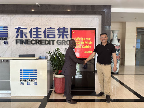 latest company news about Electricity Company of Ghana Visits Dongjiaxin Cable