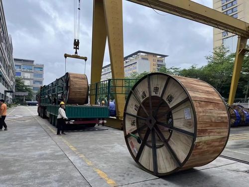 latest company news about Introduction of Dongjiaxin Cable