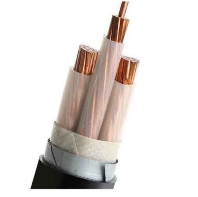 Quality 10mm2 Class 2 Conductor N2X2Y Low Smoke Halogen Free Cable Top quality DJXcable With LSZH Sheath factory